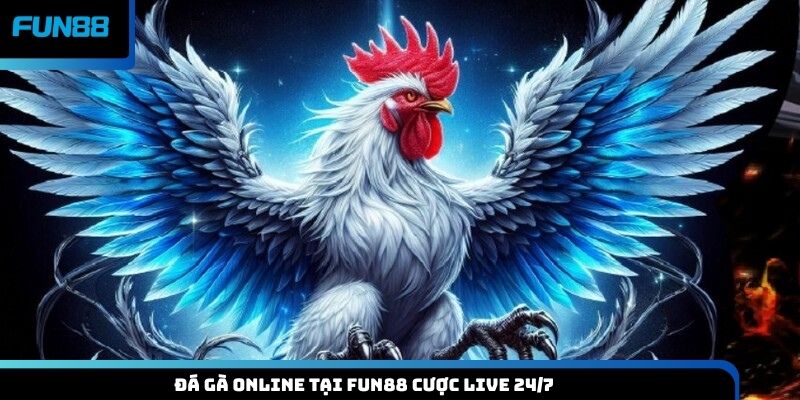 Đá gà online tại Fun88 cược live 24/7