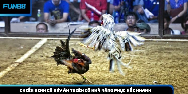 Chiến binh có vảy án thiên có khả năng phục hồi nhanh