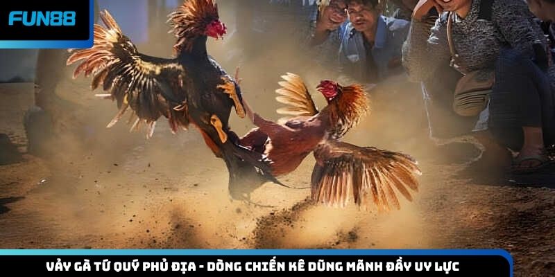 Vảy gà tứ quý phủ địa